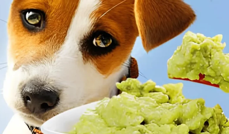 Um cachorro fazendo uma alimentação natural.