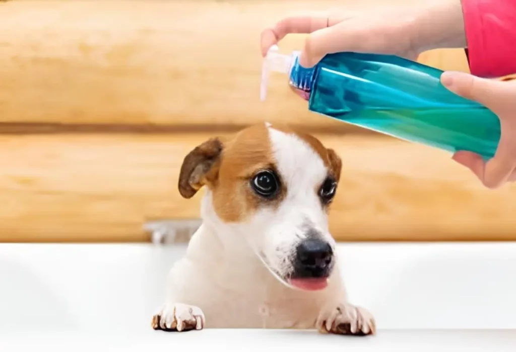 Um cachorro tomando banho.