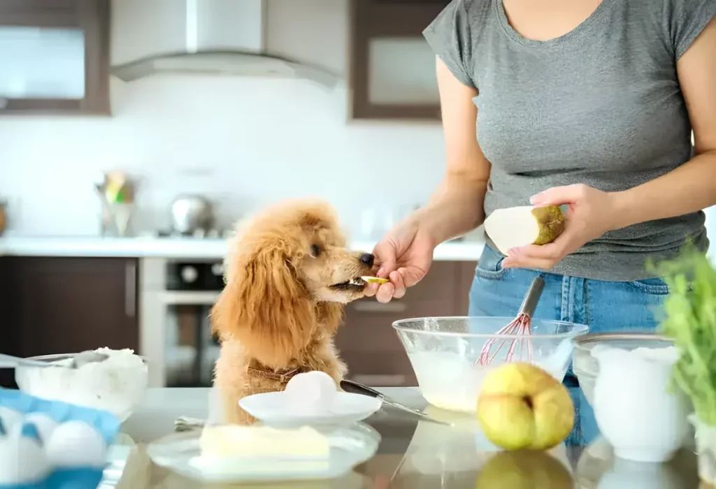 Um cachorro comendo pera junto com sua tutora.