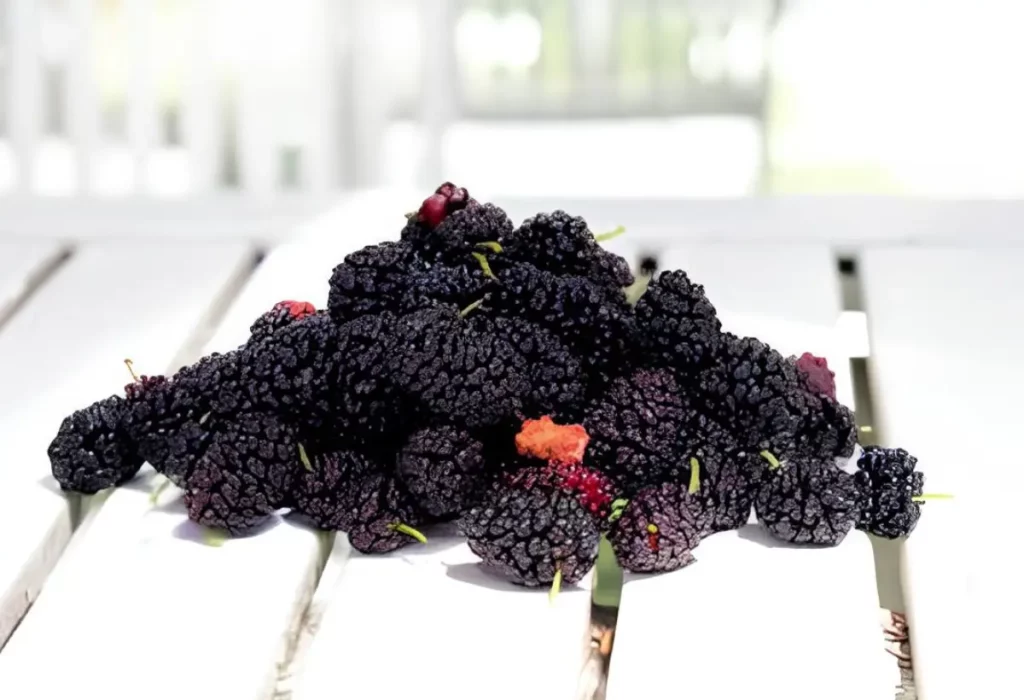 Amoras em cima de uma mesa.