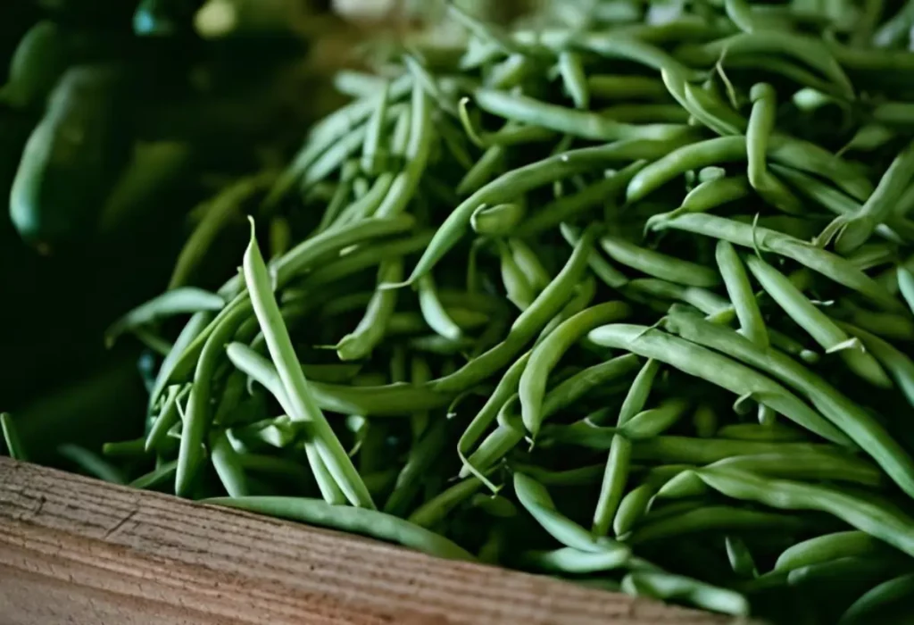 vagem em cima de uma mesa.