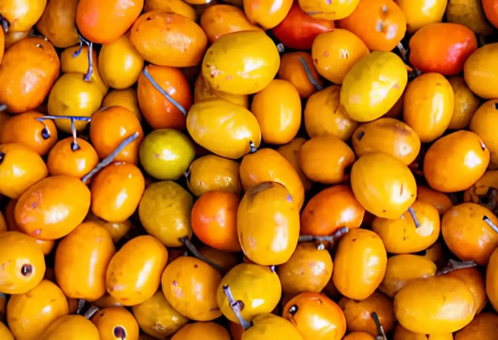 várias frutas seriguelas