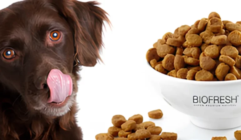 Um cachorro e ao seu lado uma tigela com ração da marca biofresh.