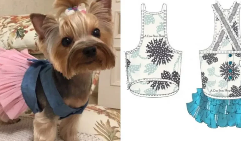 Um cachorro e ao seu lado molde para roupas pet.