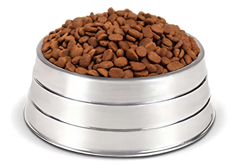 uma tigela com raçção daldog.