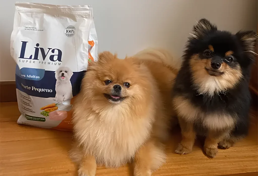 Dois cachorros da raça Lulu da Pomerânia deitado e ao seu lado uma pacote de ração da marca LIVA.