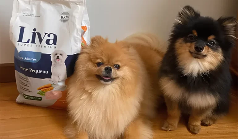 Dois cachorros da raça lulu da pomerânia deitados com um pacote de ração da marca LIVA ao lado.