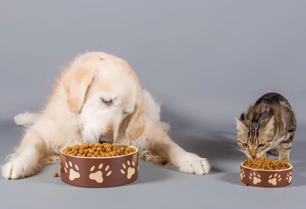 Um cachorro e um gato comendo uma ração super premium.