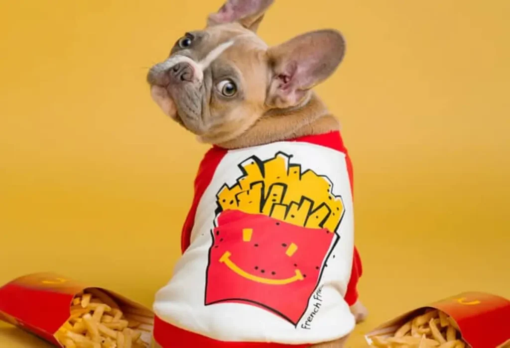 cachorro pode comer batata frita?