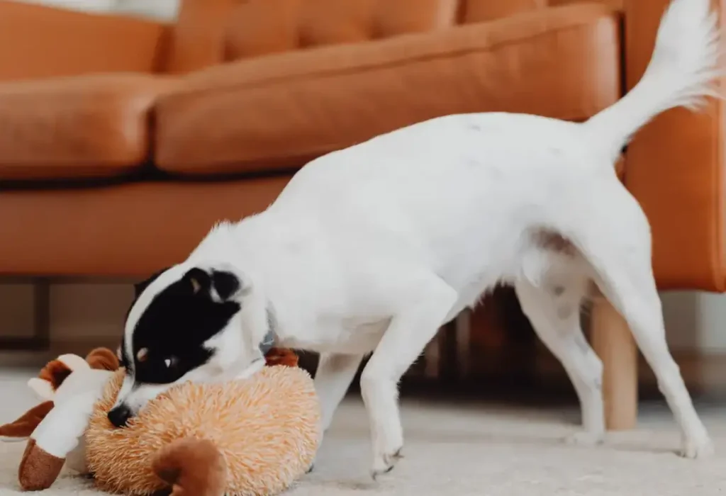 Brinquedos para cães destruidores.