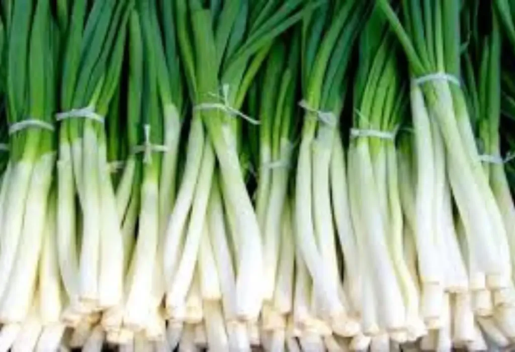 maços de cebolinha verde.