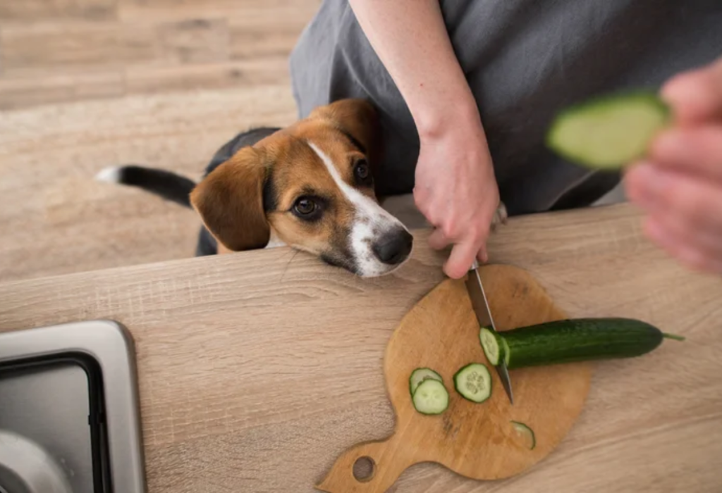 uma pessoa cortando pepino em uma mesa e ao seu lado um cachorro.