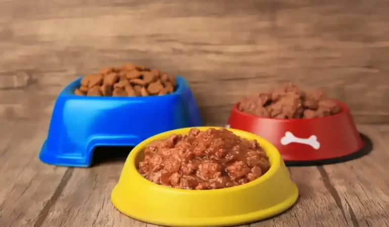 três tigelas com ração e em cima delas molho.