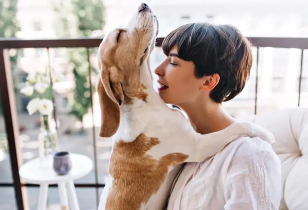 Um cachorro com perfume.