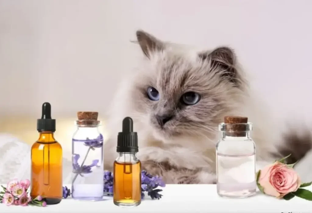 Um gato e a sua volta perfumes.
