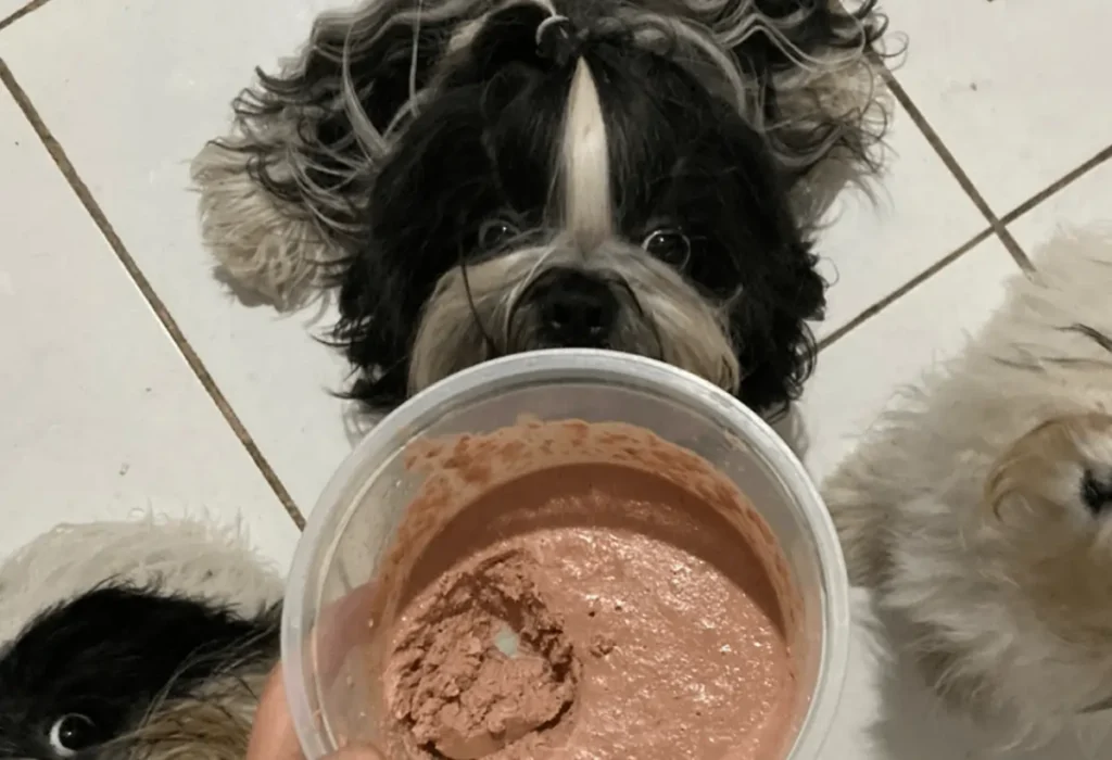 Um cachorro comendo pate caseiro.