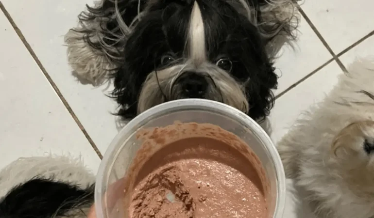 Um cachorro comendo pate caseiro.