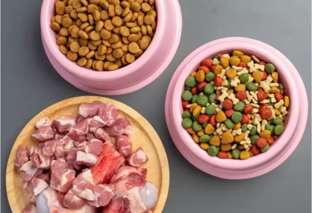 três tigelas com comida natural e ração.