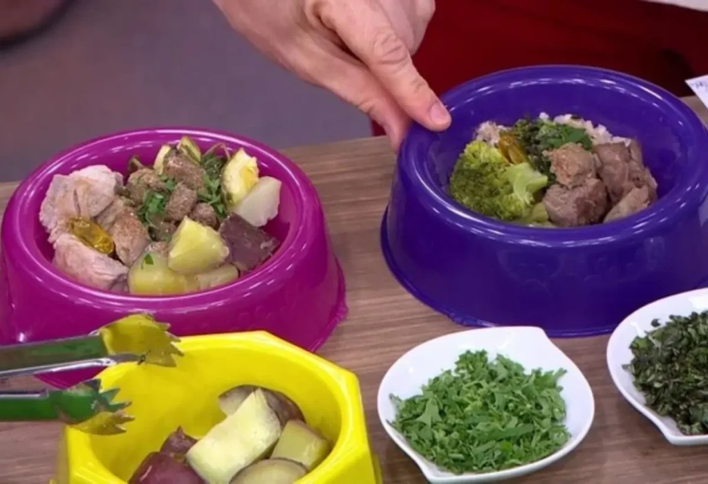 Tigelas com comidas caseiras para cães.