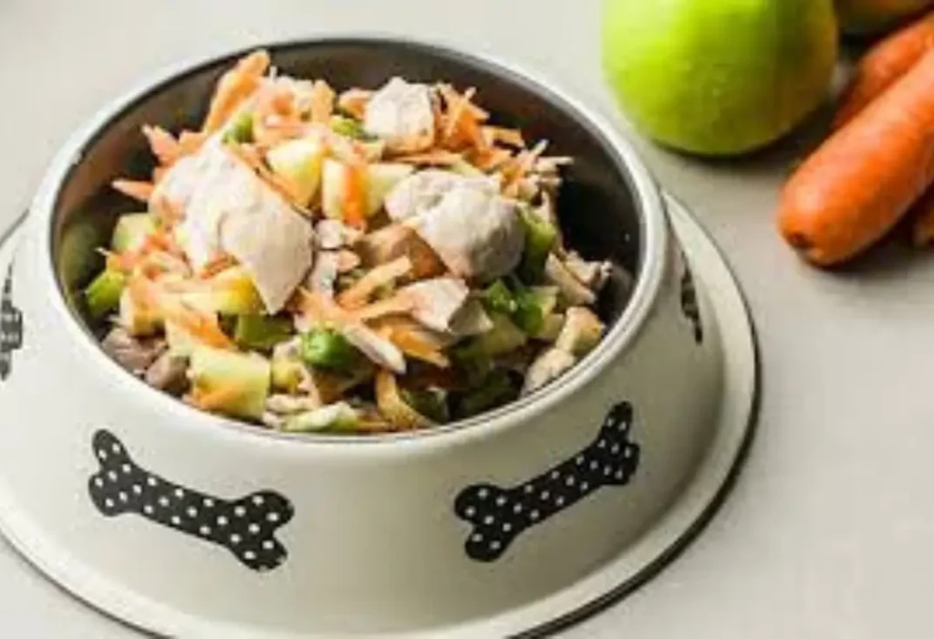 Uma tigela com comida natural para cães.