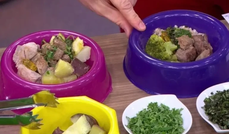 Tigelas com comidas caseiras para cães.