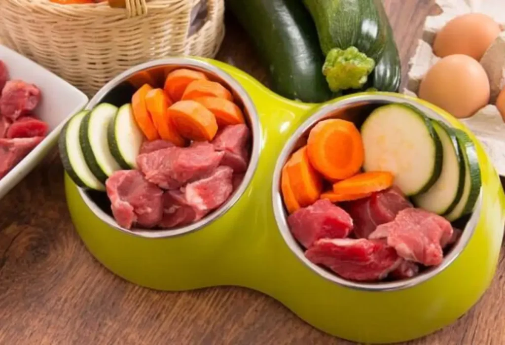 Uma tigela com comidas saudáveis para cães com anemia.