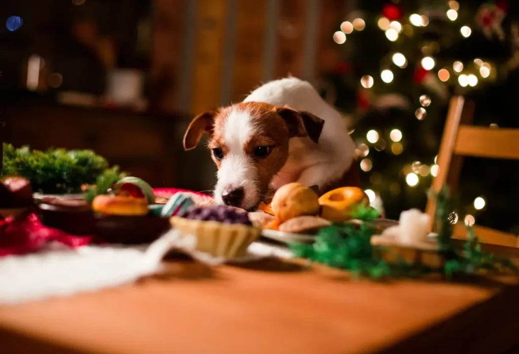 Um cachorro cheirando alimentos em uma mesa.