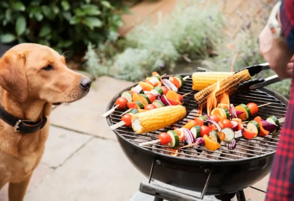 Um cachorro cheirando uma churrasqueira com comidas naturais.