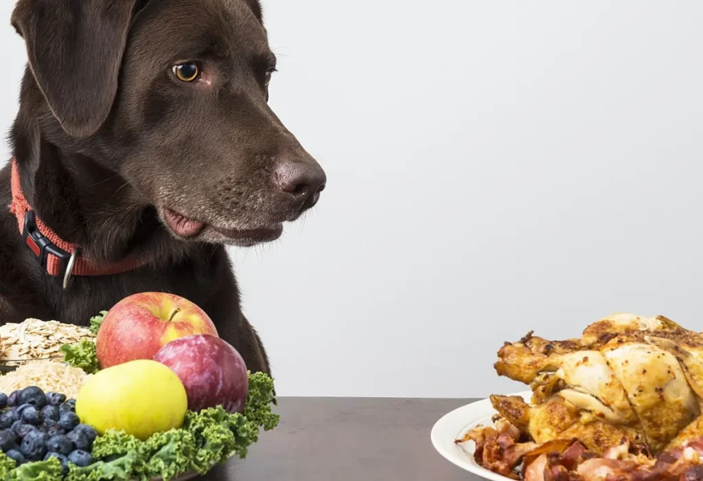 Um cachorro e a sua frente comidas naturais.