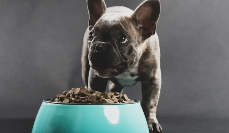 Um cachorro comendo em um pote de ração.
