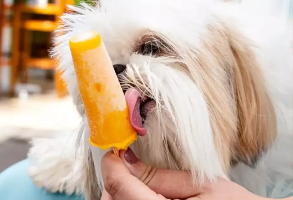 Um cachorro comendo sorvete natural. 