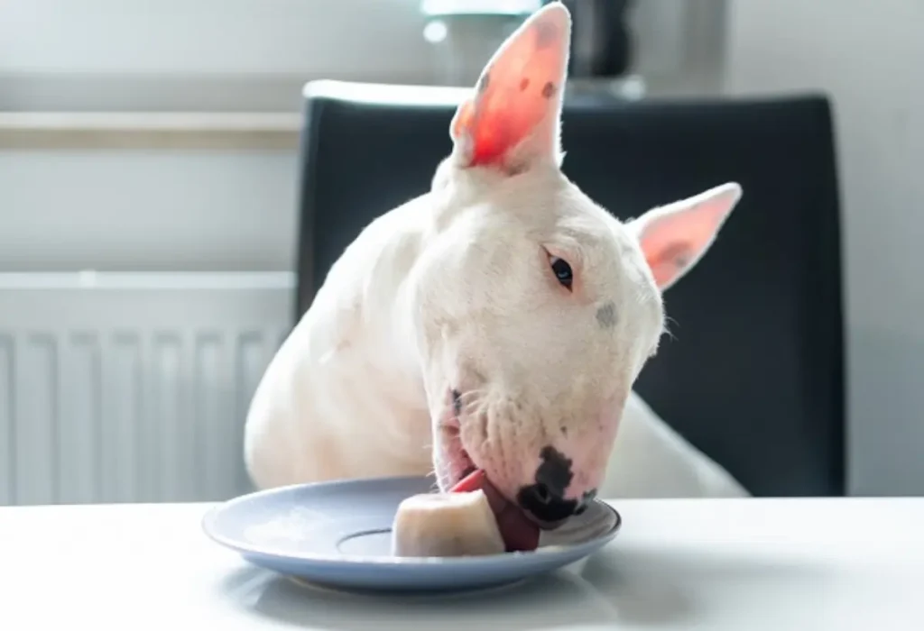 Um cachorro em uma mesa comendo um sorvete saudável para cães. 