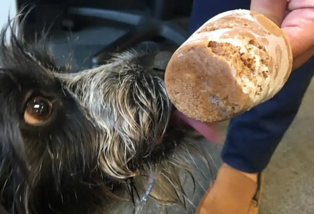 Um cachorro comendo sorvete feito com ração.