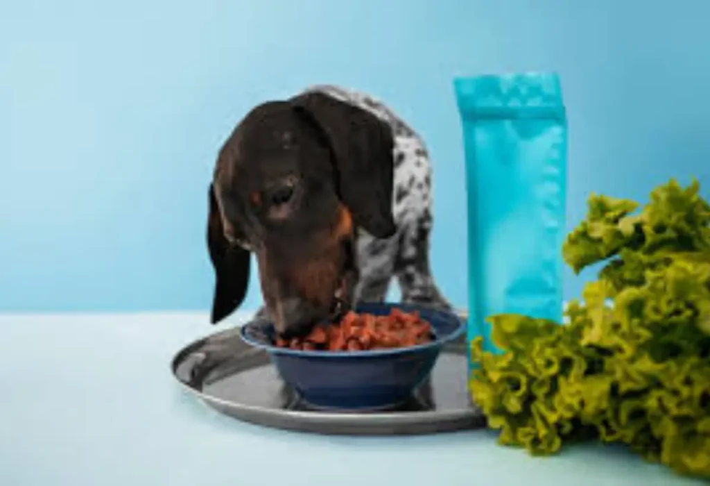Um cachorro com ansiedade fazendo sua alimentação saudável.