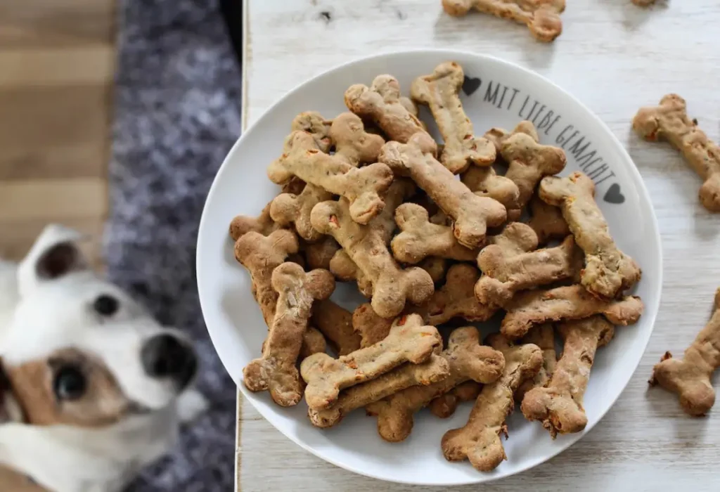 Uma tigela com petisco caseiro para cães.