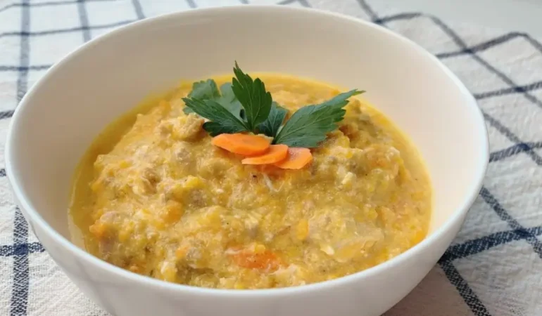 Uma tigela de ensopada para cachorro.